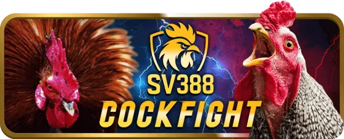 Phân tích chiến lược cá cược và mẹo casino v99 link